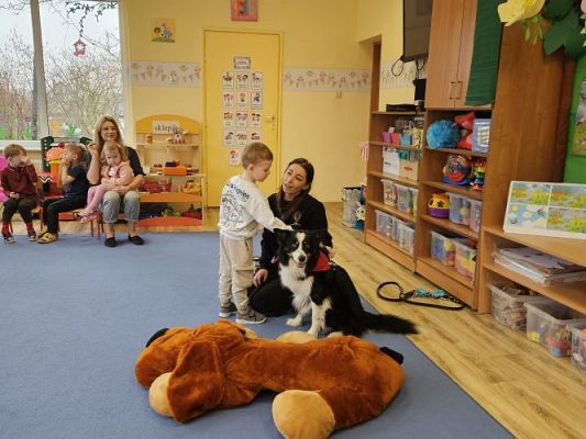 Grafika #18: 12.03.2024 Dogoterapia - gr I