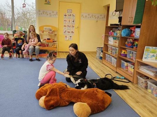 Grafika #19: 12.03.2024 Dogoterapia - gr I