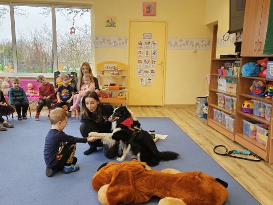 Grafika #20: 12.03.2024 Dogoterapia - gr I