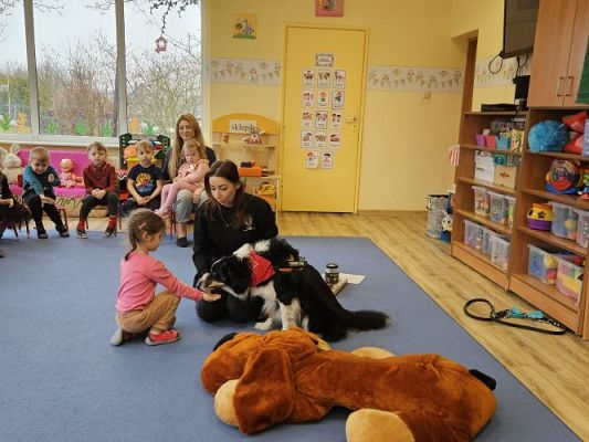 Grafika #21: 12.03.2024 Dogoterapia - gr I