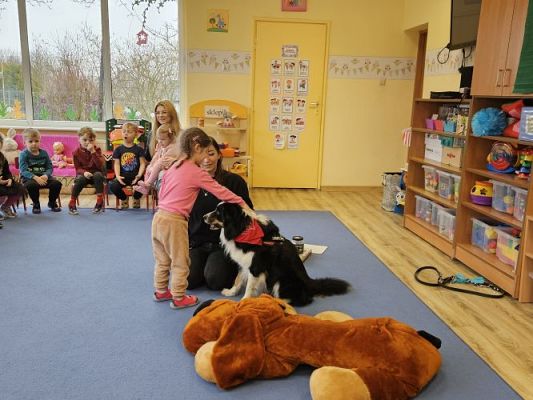 Grafika #22: 12.03.2024 Dogoterapia - gr I