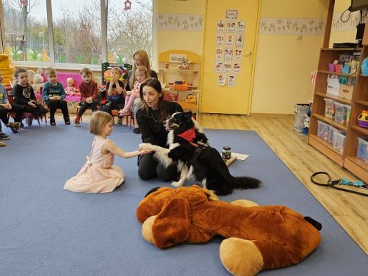 Grafika #23: 12.03.2024 Dogoterapia - gr I