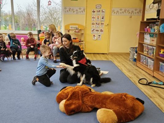 Grafika #28: 12.03.2024 Dogoterapia - gr I