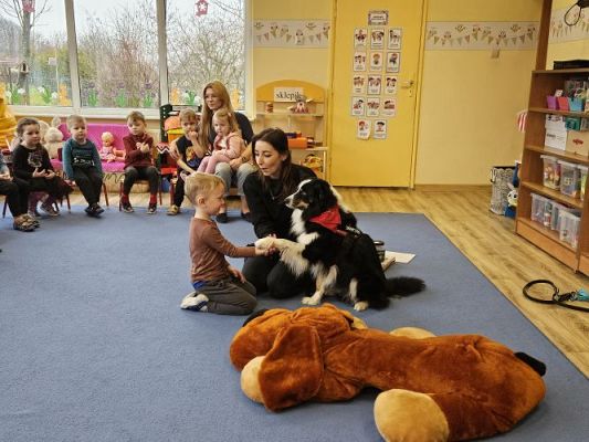 Grafika #29: 12.03.2024 Dogoterapia - gr I