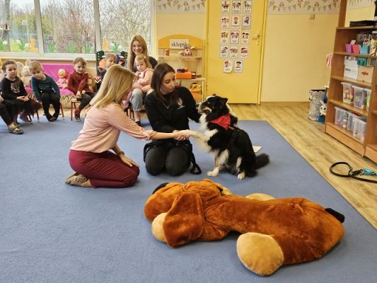 Grafika #30: 12.03.2024 Dogoterapia - gr I