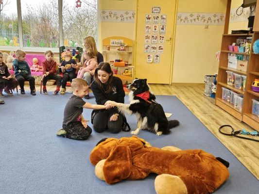 Grafika #31: 12.03.2024 Dogoterapia - gr I