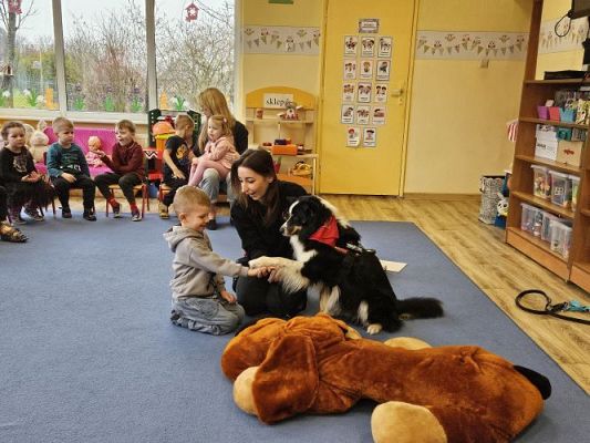 Grafika #32: 12.03.2024 Dogoterapia - gr I