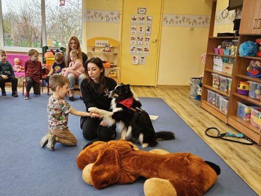 Grafika #33: 12.03.2024 Dogoterapia - gr I