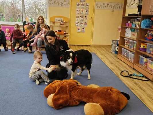 Grafika #35: 12.03.2024 Dogoterapia - gr I