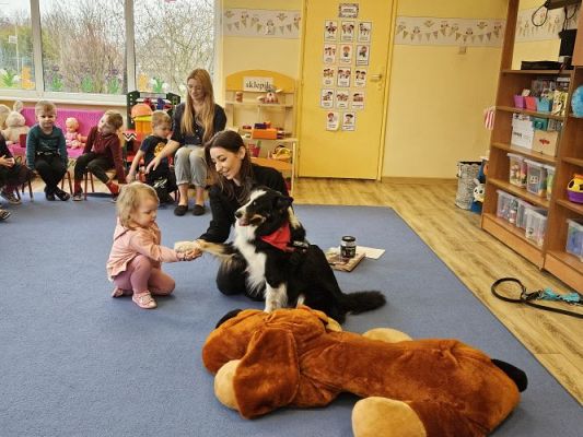 Grafika #36: 12.03.2024 Dogoterapia - gr I