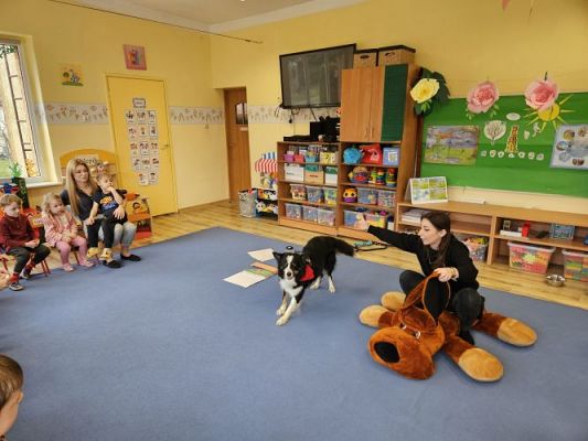 Grafika #39: 12.03.2024 Dogoterapia - gr I