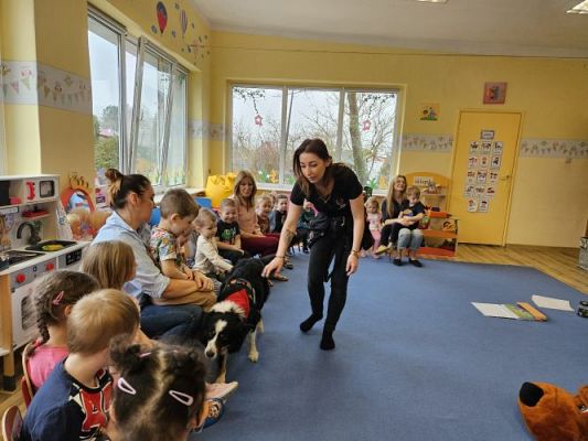 Grafika #41: 12.03.2024 Dogoterapia - gr I