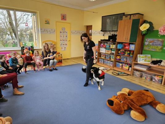 Grafika #43: 12.03.2024 Dogoterapia - gr I