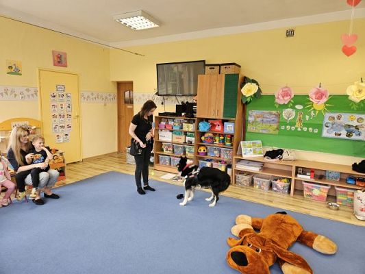 Grafika #48: 12.03.2024 Dogoterapia - gr I