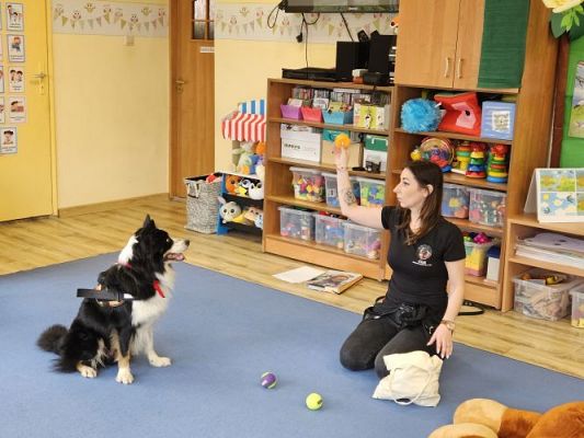 Grafika #51: 12.03.2024 Dogoterapia - gr I