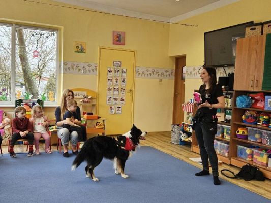 Grafika #52: 12.03.2024 Dogoterapia - gr I