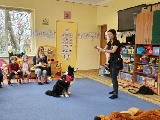 Grafika #53: 12.03.2024 Dogoterapia - gr I