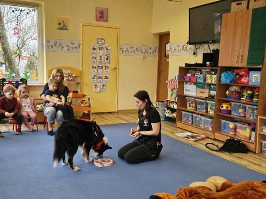 Grafika #54: 12.03.2024 Dogoterapia - gr I