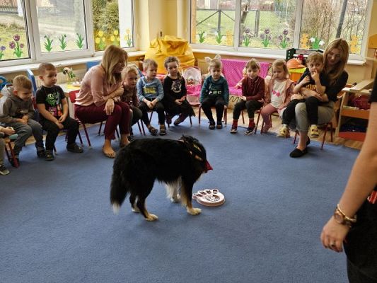 Grafika #58: 12.03.2024 Dogoterapia - gr I