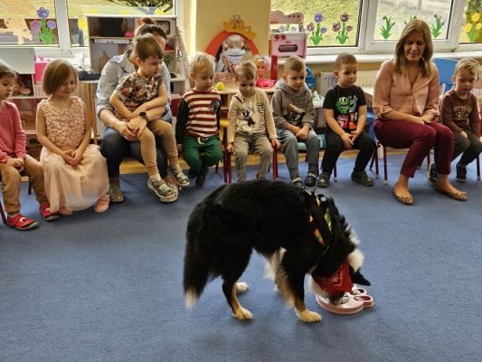 Grafika #59: 12.03.2024 Dogoterapia - gr I