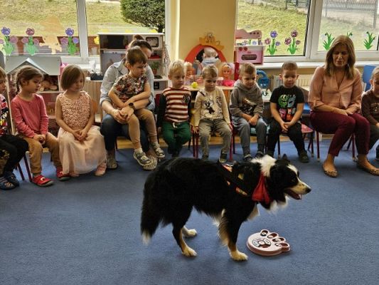 Grafika #60: 12.03.2024 Dogoterapia - gr I