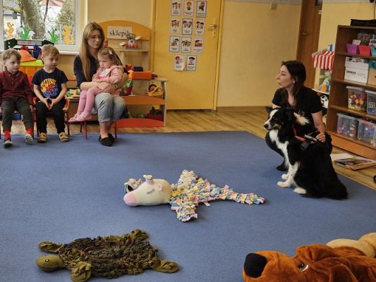 Grafika #68: 12.03.2024 Dogoterapia - gr I