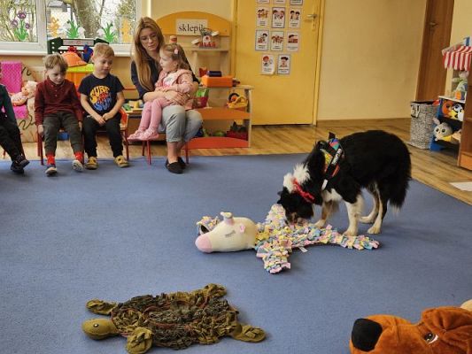 Grafika #69: 12.03.2024 Dogoterapia - gr I