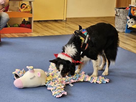 Grafika #70: 12.03.2024 Dogoterapia - gr I