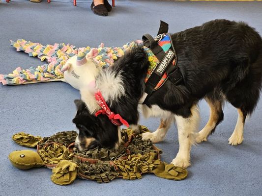 Grafika #71: 12.03.2024 Dogoterapia - gr I