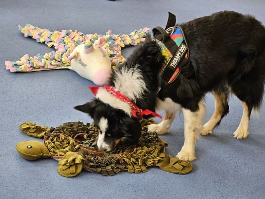 Grafika #72: 12.03.2024 Dogoterapia - gr I