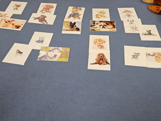 Grafika #83: 12.03.2024 Dogoterapia - gr I