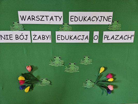 Grafika #3: 06.03.2024 Warsztaty edukacyjne "Nie bój żaby! Edukacja o płazach" - Gr III