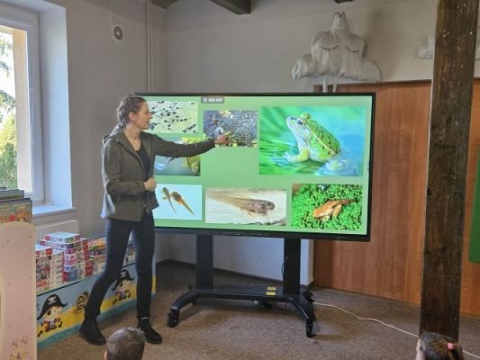 Grafika #27: 06.03.2024 Warsztaty edukacyjne "Nie bój żaby! Edukacja o płazach" - Gr III