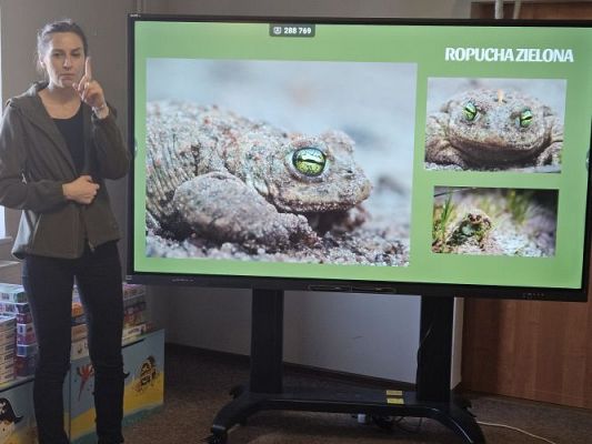 Grafika #32: 06.03.2024 Warsztaty edukacyjne "Nie bój żaby! Edukacja o płazach" - Gr III