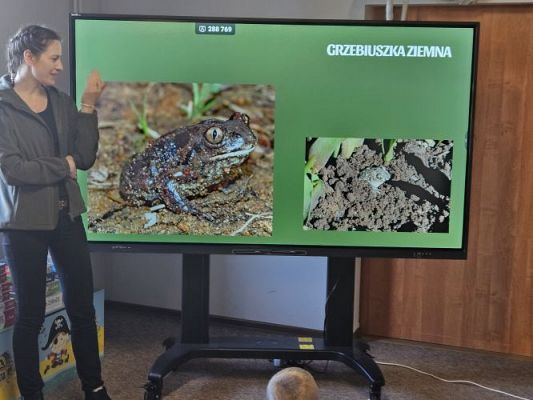 Grafika #35: 06.03.2024 Warsztaty edukacyjne "Nie bój żaby! Edukacja o płazach" - Gr III