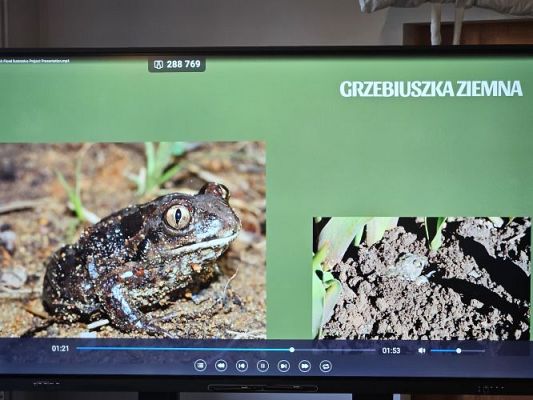 Grafika #36: 06.03.2024 Warsztaty edukacyjne "Nie bój żaby! Edukacja o płazach" - Gr III