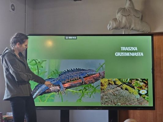 Grafika #46: 06.03.2024 Warsztaty edukacyjne "Nie bój żaby! Edukacja o płazach" - Gr III