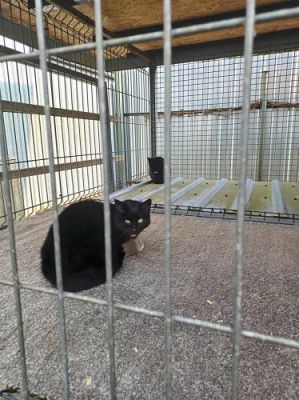 Grafika #4: 04.03.2024 Zakończenie akcji "Współczuję więc pomagam"