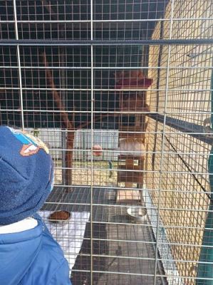 Grafika #6: 04.03.2024 Zakończenie akcji "Współczuję więc pomagam"