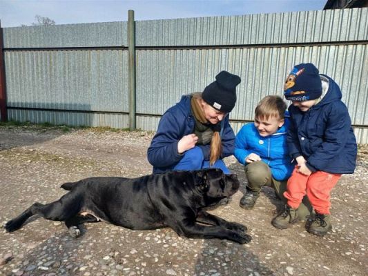 Grafika #7: 04.03.2024 Zakończenie akcji "Współczuję więc pomagam"