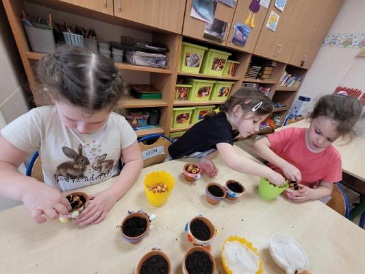 Grafika #0: 19.03.2024 Mali ogrodnicy gr II