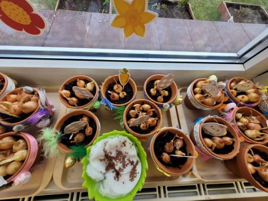 Grafika #3: 19.03.2024 Mali ogrodnicy gr II