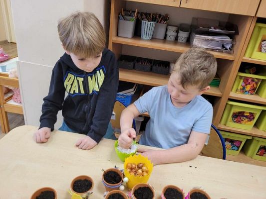 Grafika #4: 19.03.2024 Mali ogrodnicy gr II