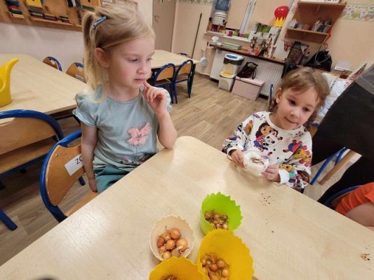 Grafika #6: 19.03.2024 Mali ogrodnicy gr II