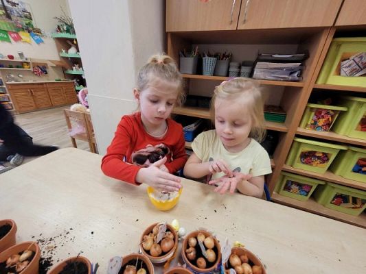 Grafika #18: 19.03.2024 Mali ogrodnicy gr II