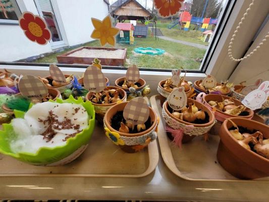 Grafika #23: 19.03.2024 Mali ogrodnicy gr II