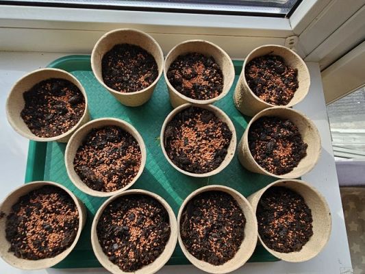 Grafika #32: 15.03.2024 Wielkanocne warsztaty kreatywne w gr I