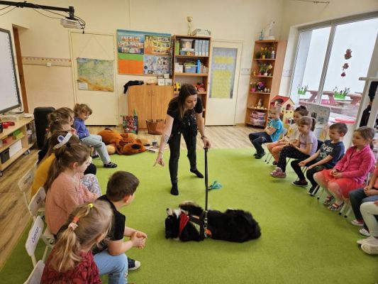 Grafika #2: 12.03.2024 Dogoterapia - gr III