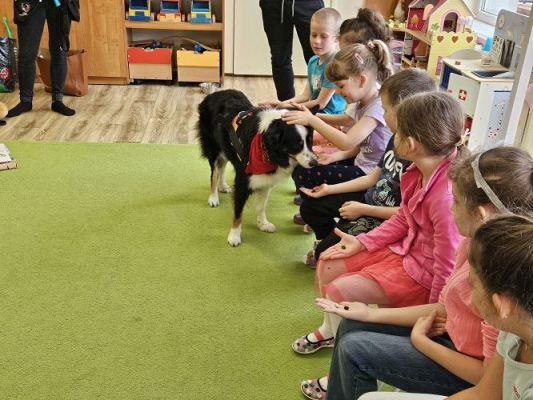 Grafika #11: 12.03.2024 Dogoterapia - gr III