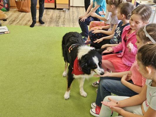 Grafika #12: 12.03.2024 Dogoterapia - gr III